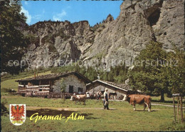 72289401 Pertisau Achensee Gramai-Alm Kuehe Maurach - Autres & Non Classés