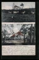 AK Gonsenheim, Waldschänke Auf Dem Leniaberg, Schloss Waldthausen  - Other & Unclassified