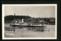 AK Dampfer Schönbrunn Auf Dem Wallsee In Niederösterreich  - Other & Unclassified