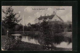 AK Luckenwalde, Partie Im Stadtpark  - Luckenwalde