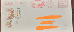 China Cover,2018 Year Of Dog    and Pig,postage Machine Stamp - Briefe