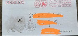 China Cover,2018 Year Of Dog    and Rooster,postage Machine Stamp - Enveloppes