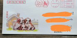 China Cover,2018 Year Of Dog    and Rooster,postage Machine Stamp - Enveloppes