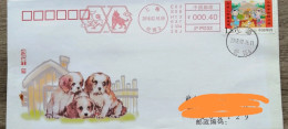 China Cover,2018 Year Of Dog    and Rooster,postage Machine Stamp - Covers