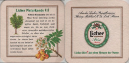 5005191 Bierdeckel Quadratisch - Licher - Beer Mats