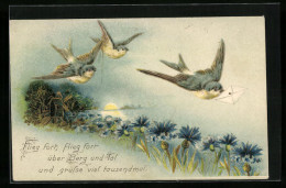 Künstler-AK Fliegende Schwalben Mit Einem Brief  - Birds