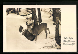 AK Reh Im Schneebedeckten Wald - Neujahrsgruss  - Autres & Non Classés