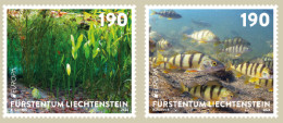Liechtenstein 2024 Europa CEPT Undewater Fauna And Flora Fishes River Algae Set Of 2 Stamps MNH - Neufs
