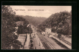 AK Liebau I. Vogtl. Schweiz, Blick Vom Hotel Steinicht Auf Den Bahnhof  - Autres & Non Classés