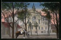 AK Libau, Mädchengymnasium Und Soldat Mit Pferd  - Letland