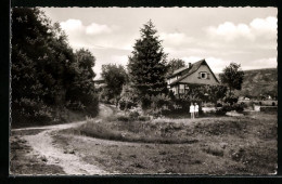 AK Vaake, Pension Haus Am Ahlebach  - Autres & Non Classés