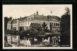 AK Coesfeld I. W., Schloss Varlar Mit Schwänen  - Sonstige & Ohne Zuordnung