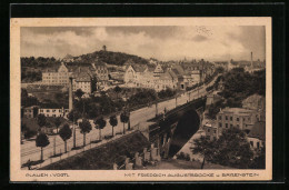 AK Plauen I. Vogtl., Friedrich Augustbrücke U. Bärenstein  - Plauen