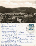 Ansichtskarte Bad Lauterberg Im Harz Stadtblick 1961 - Bad Lauterberg