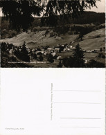 Menzenschwand-St. Blasien Panorama-Ansicht Ort & Schwarzwald 1960 - St. Blasien