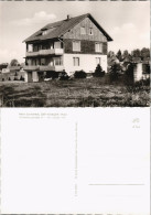 Hohegeiß-Braunlage Haus Sonneneck In Der Hindenburgstraße 1960 - Braunlage