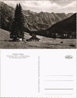 .Bayern Allgäuer Alpen Ställenalpe, Retterschwang, Nebelhorngruppe 1960 - Other & Unclassified