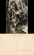 Postcard Japan Typen Japan Geisha Nippon 要負著不 1928 - Autres & Non Classés
