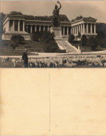 Ludwigsvorstadt-München Bavaria   Ruhmeshalle, Schäfer Schafe 1926 Privatfoto - Muenchen