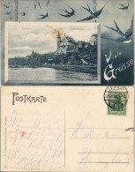 Ansichtskarte Grimma Gattersburg - Schwalben 1906 Passepartout - Grimma