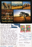 Postcard Südafrika South Africa Mehrbild-AK Landschaft & Elefanten 2004 - South Africa