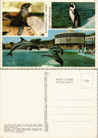 Port Elizabeth Oceanarium Dolphins, Seal, Penguin (Delfine, Pinguin) 1975 - Zuid-Afrika