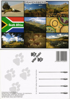 Südafrika Drakensberg (Dragon Mountain) Multi-View-Postcard 2005 - Zuid-Afrika