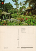 Postcard Rabat Jardin Exotique Exotic Garden Jardin Exótico 1970 - Rabat