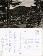 Ansichtskarte Nagold Panorama-Ansicht Luftkurort Schwarzwald 1965 - Other & Unclassified