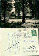Ansichtskarte  Oberharz Wald Stimmungsbild 1960   Gel Stempel BRAUNLAGE HARZ - Ohne Zuordnung
