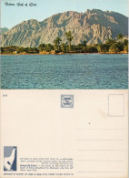 Postcard Eilat אילת Dahav-Di-Zahav - Oasis Shore Gulf Of Eilat 1970 - Israele