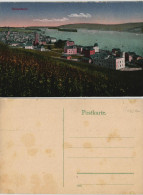 Ansichtskarte Rüdesheim (Rhein) Panorama-Ansicht Blick Zum Rhein 1910 - Ruedesheim A. Rh.