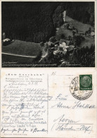 Hahnenklee-Bockswiese-Goslar Zum Auerhahn (im Oberharz) Fliegeraufnahme 1939 - Goslar