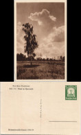 .Brandenburg Abend Im Spreewald, Stimmungsbild, Ganzsache Dt. Reich 1934 - Altri & Non Classificati