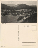 Ansichtskarte Bad Herrenalb Blick Auf Die Stadt 1924 - Bad Herrenalb
