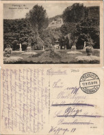 Ansichtskarte Freiburg Im Breisgau Stadtgarten - Blick Nach Datler 1915 - Freiburg I. Br.
