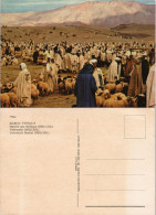 Marokko Marché Aux Bestiaux (IMILCHIL) Viehmarkt Liverstock Market 1970 - Other & Unclassified