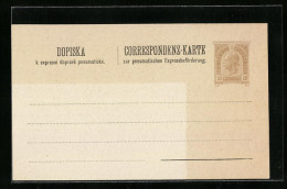 AK Correspondenz-Karte Zur Pneumatischen Expressbeförderung, Ganzsache, Post  - Poste & Postini