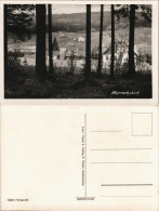 Postcard Harrachsdorf Harrachov Blick Auf Die Stadt 1932 - Czech Republic