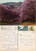 Postcard Pretoria Tshwane Blick Auf Die Stadt Gel. Air Mail 1975 - Afrique Du Sud