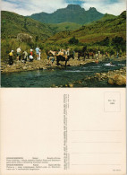 Südafrika DRAKENSBERG Pony-trekking Cathkin Peak And Sterkhorn Gaze 1970 - Zuid-Afrika