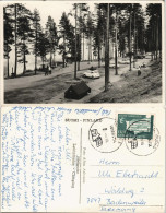 Postcard Pihtipudas (Suomi) Campingplatz, Autos - Fotokarte 1965 - Finnland