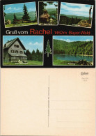 Bay. Wald Rachel, Rachelkapelle Rachelgipfel Blick Vom Gipfel 1970 - Non Classés