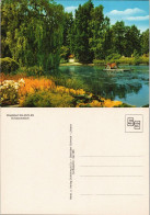 Ansichtskarte Bad Salzuflen Schwanenteich 1970 - Bad Salzuflen