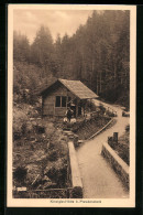 AK Freudenstadt, Kinzigle-Hütte Mit Besuchern  - Freudenstadt