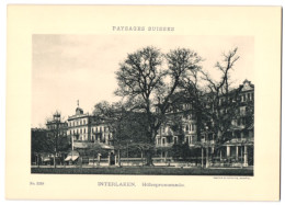 Fotografie - Lichtdruck Phototypie Neuchatel, Ansicht Interlaken, Höhepromenade Mit Wohnhäusern  - Plaatsen