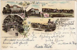 Litho AK Königsfeld Im Schwarzwald Litho: Pensionate, Ruine, Panorama Und Kirchhof 1897  - Andere & Zonder Classificatie
