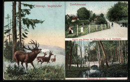 AK Briese / Nordbahn, Dorfstrasse, Steinerne Brücke, Hirsch Und Rehe Im Wald  - Brueck