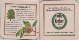 5005269 Bierdeckel Quadratisch - Licher - Beer Mats