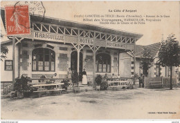 LAMOTHE DU TEICH (BASSIN D'ARCACHON) HOTEL DES VOYAGEURS - AVENUE DE LA GARE - RENDEZ VOUS DE CHASSE ET  PECHE (ANIMEE) - Arcachon